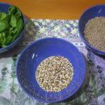 Zuppa di lenticchie, quinoa e spinaci